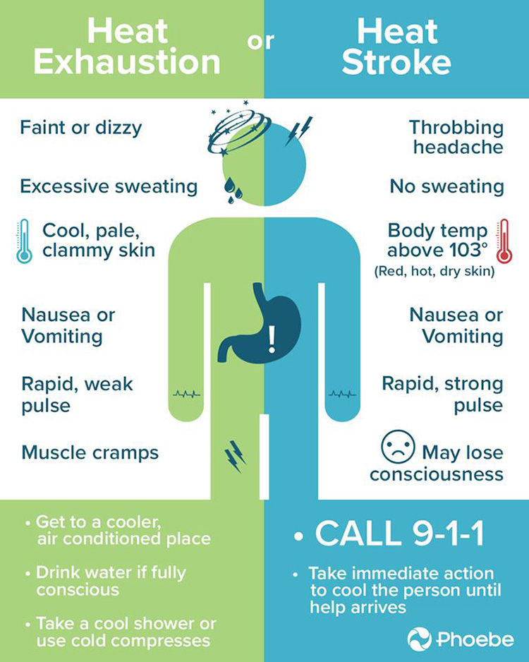 Heat Exhaustion or Heat Stroke News & Announcements